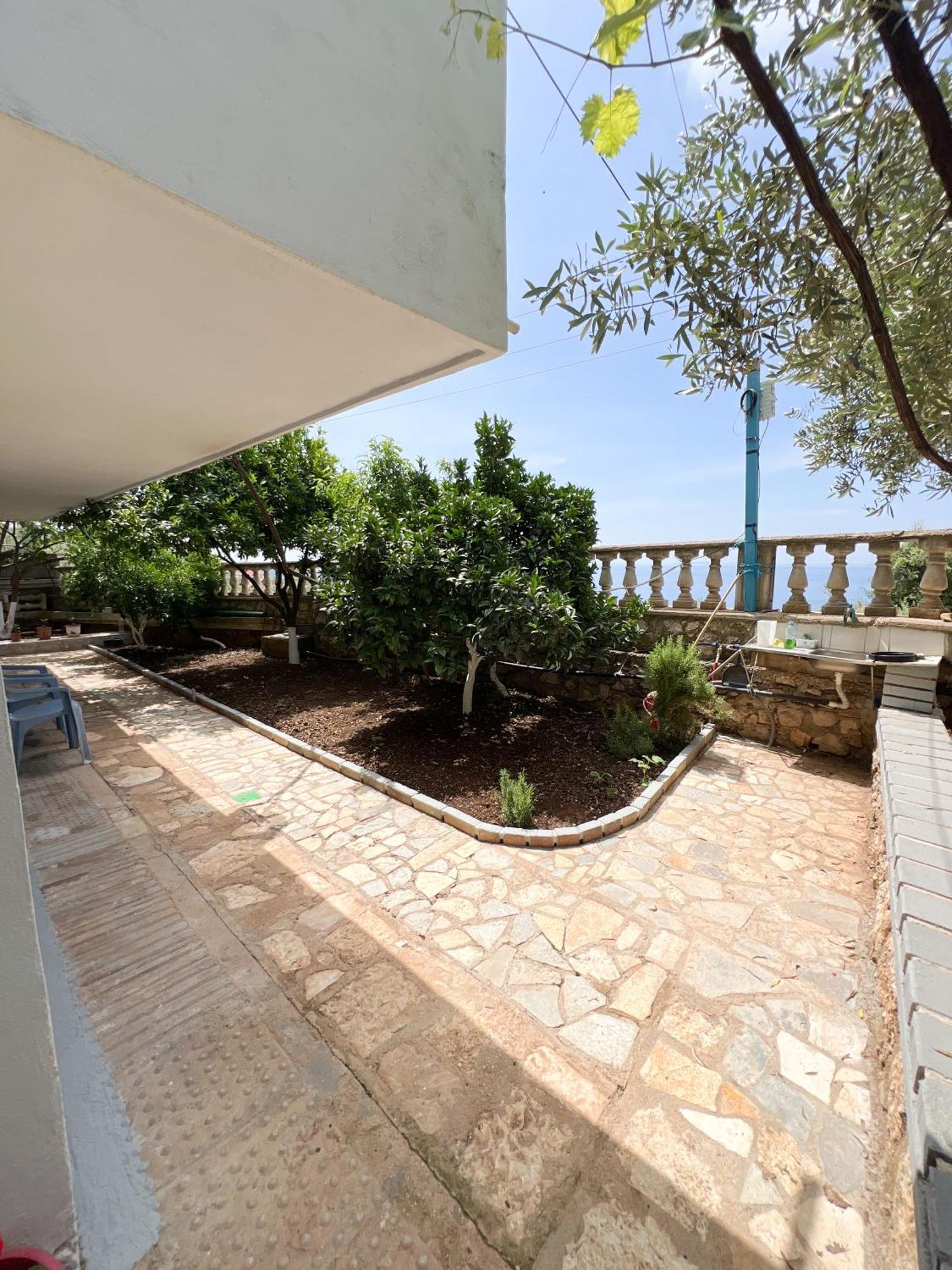 Petra Oliva Apartment Dhermi Bagian luar foto