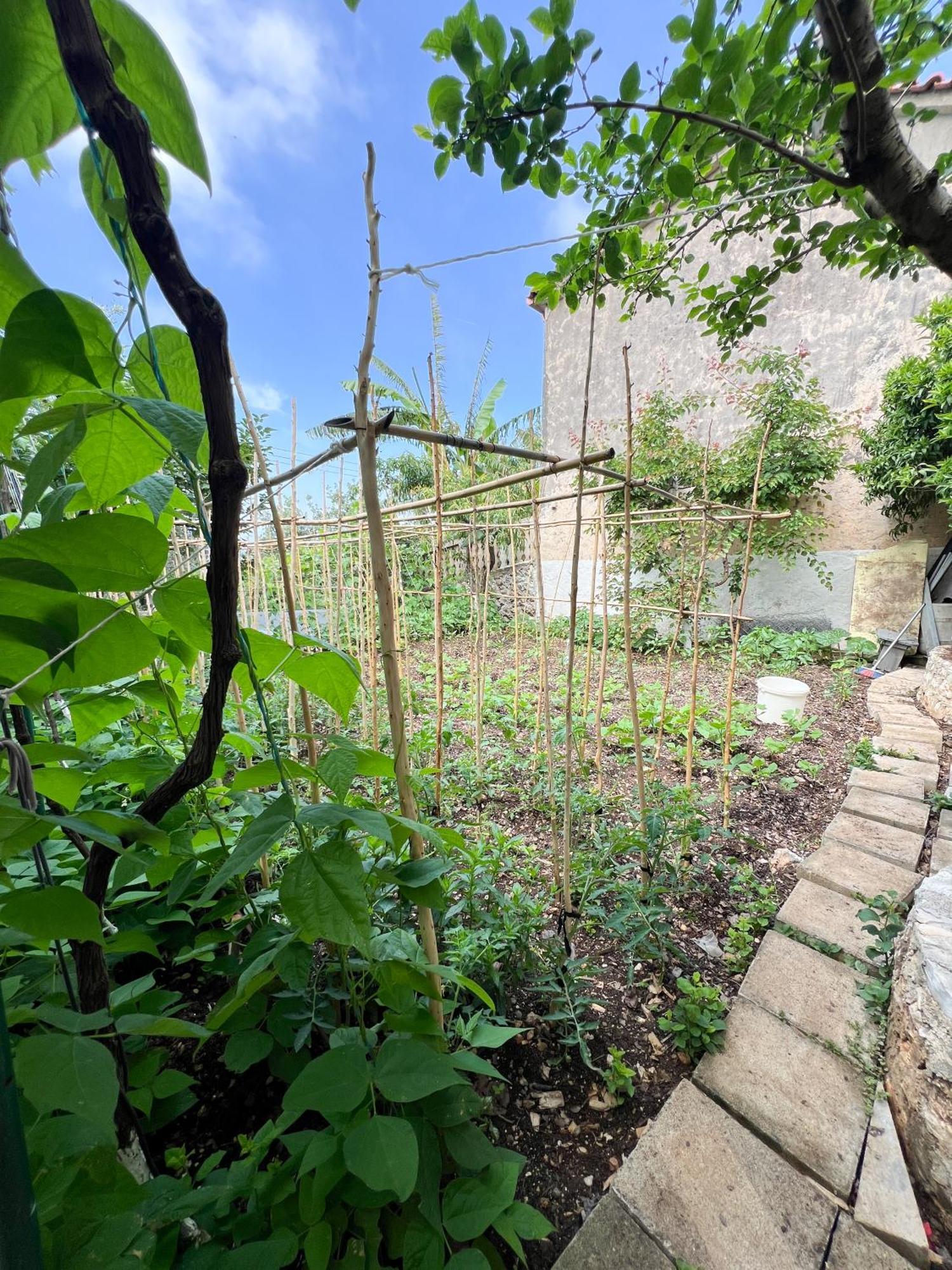 Petra Oliva Apartment Dhermi Bagian luar foto